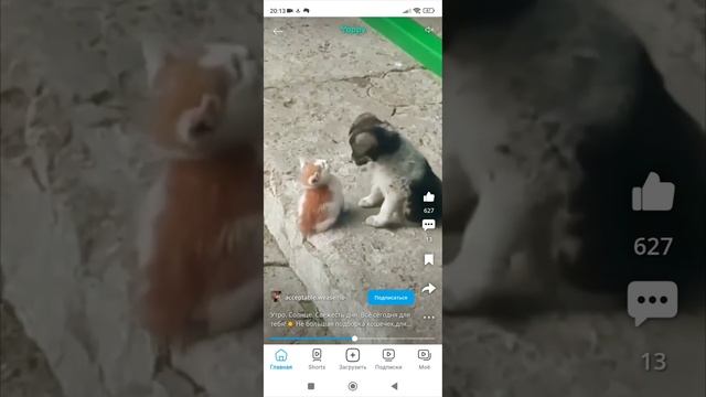 Занесло эх занесло в рутуб!!!!