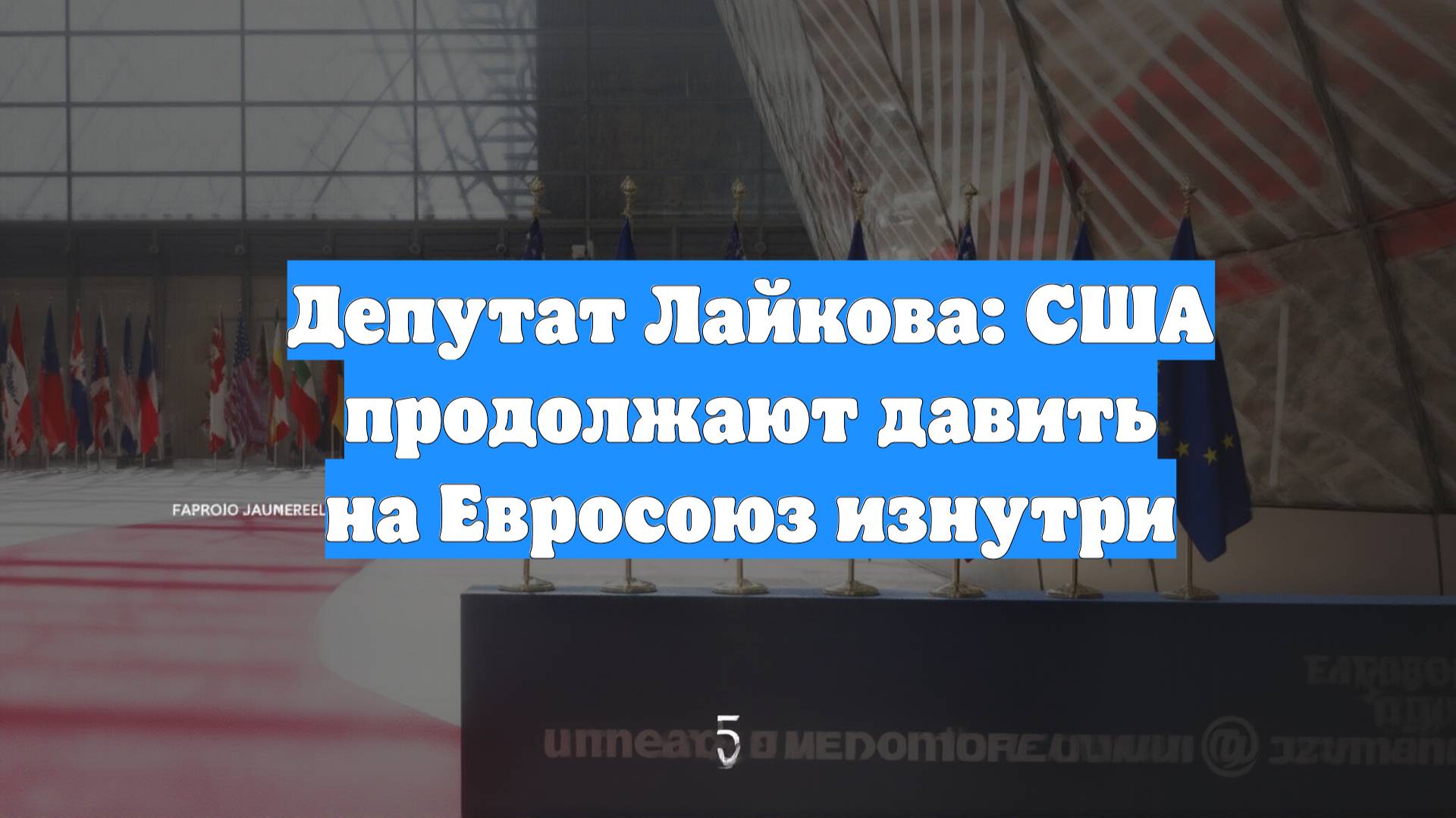 Депутат Лайкова: США продолжают давить на Евросоюз изнутри
