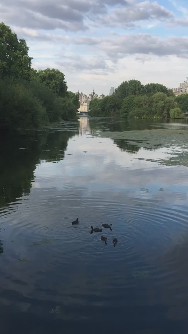 Hyde park