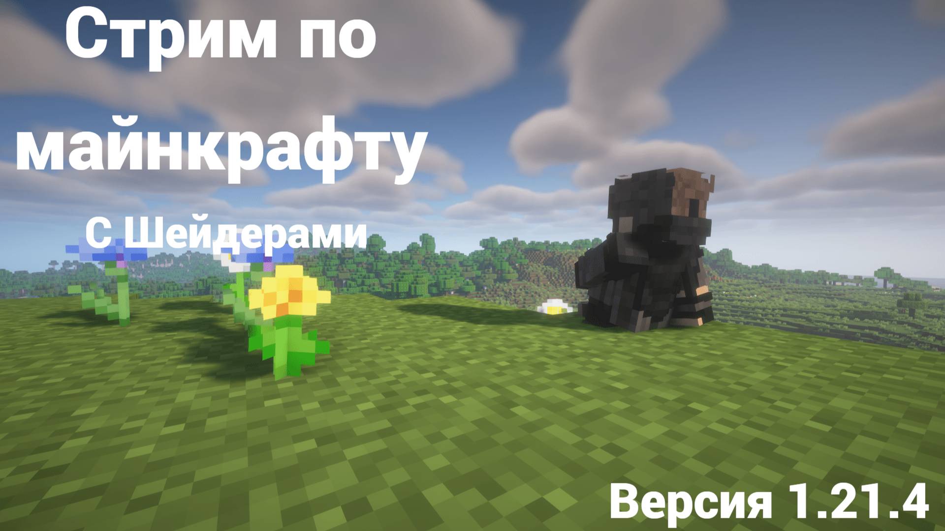 !!! Стрим по Майнкрафту !!! Выживание на версии 1.21.4 . Minecraft Survival .