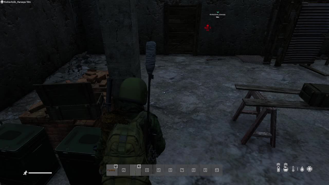 Выживание в Dayz