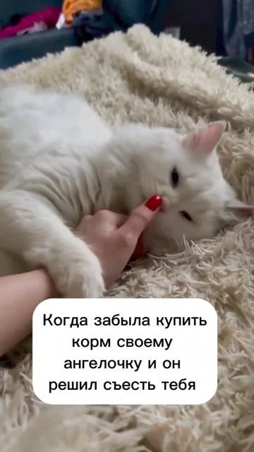 кусь