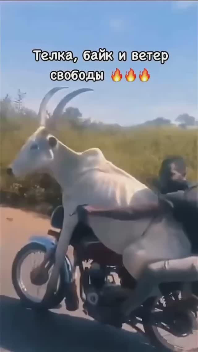 Романтическая поездка😂