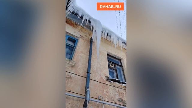 На снег и сосульки не реагирует в управляющей компании