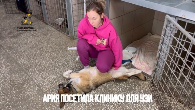 Ария протестует и требует свободы. Поддержать⬇️