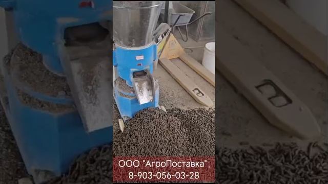 Гранулирование помета и подстилки от перепелов на мини грануляторе. Отзыв клиента.