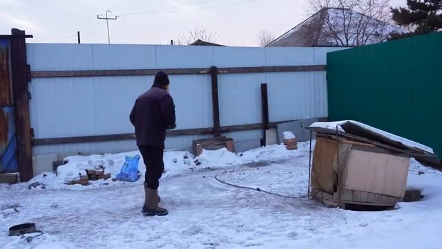 Бобыль 21-го века как он выглядит и как живет _