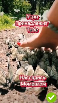 доброе утро