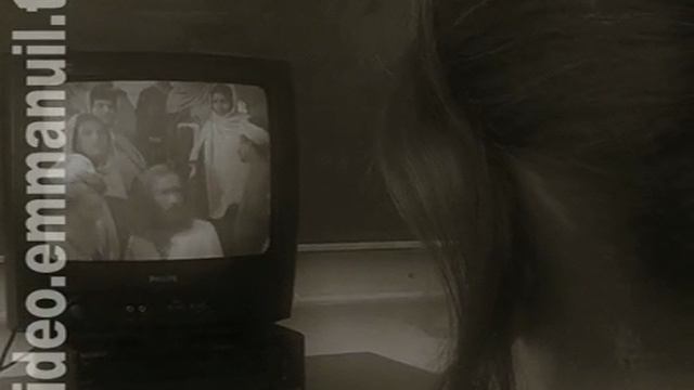 свидетельство - "приют Ноев ковчег" 22 - 7.1