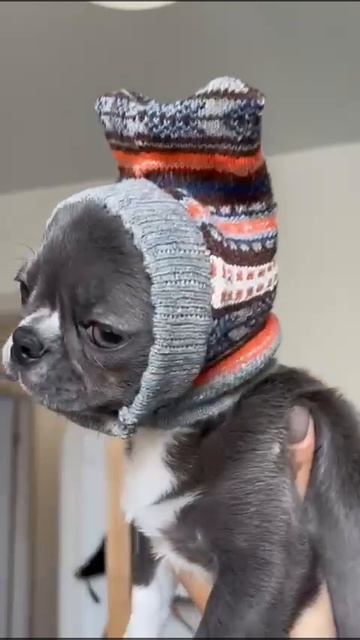Боль вселенская 😂