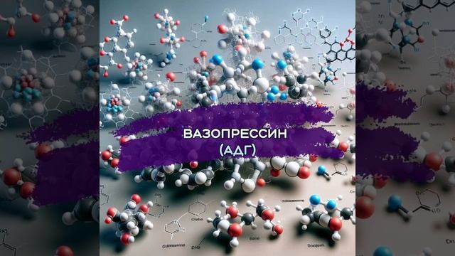 Вазопрессин - антидиуретический гормон (АДГ)