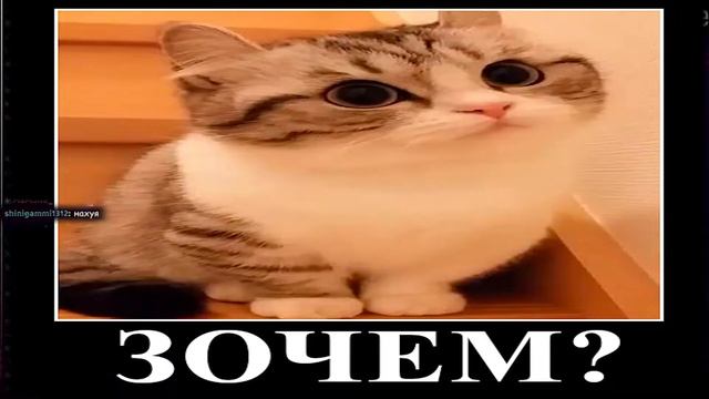 Братишкин сошелся с Алиной