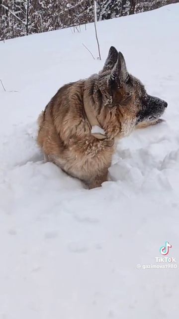 1000000144.mp4