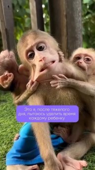 Мамы, вы там как? 🫠 #kanrykids