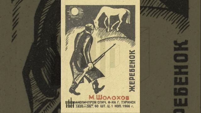 Жеребёнок. Рассказ Михаила Шолохова. Краткий пересказ.