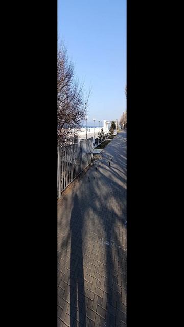 12 февраля Анапа 2025