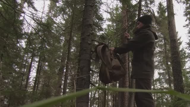 Лесные - с минимальным снаряжением один в тайге, укрытие в лесу, рысь с котятами