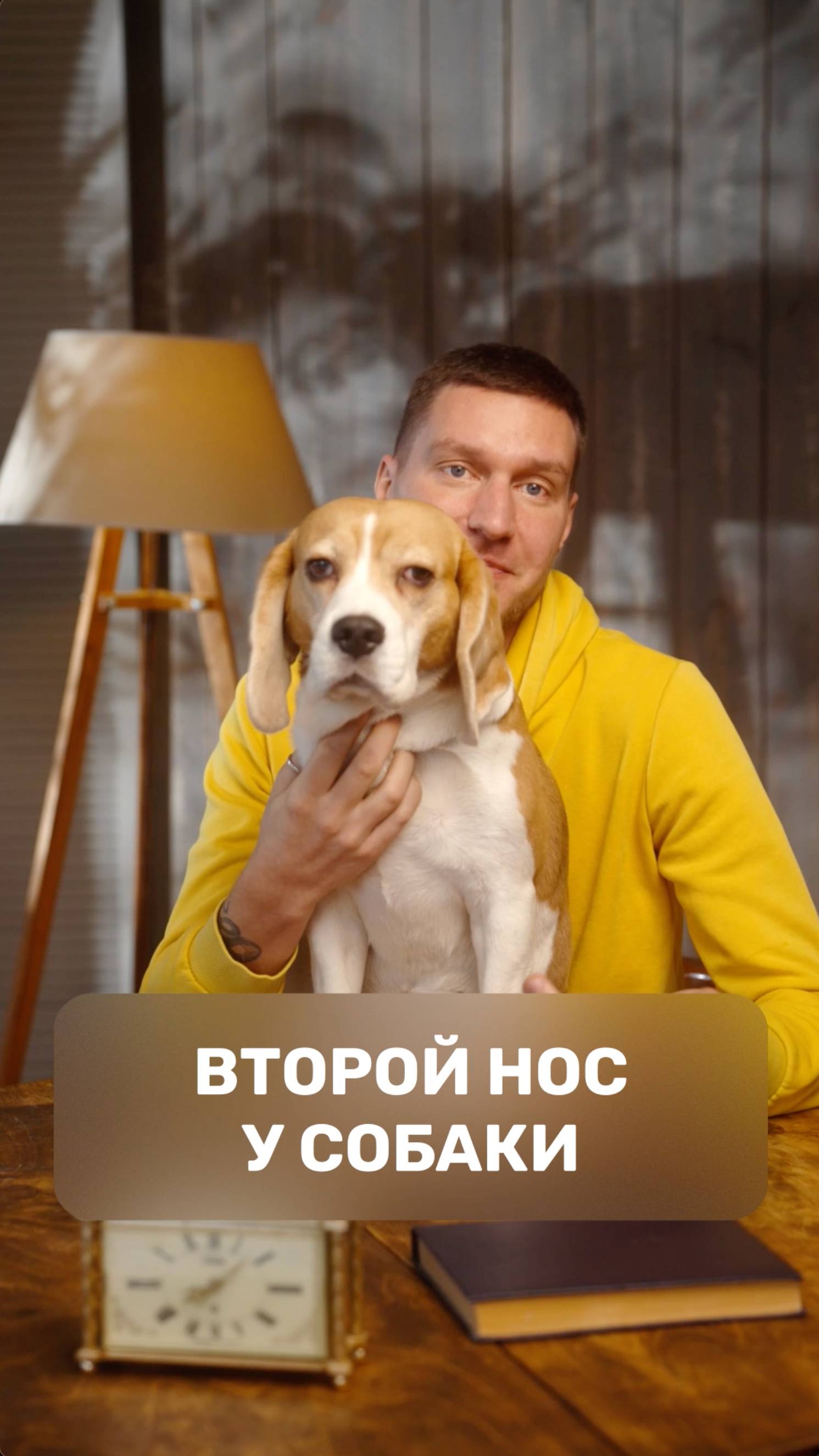 Второй нос у собаки
