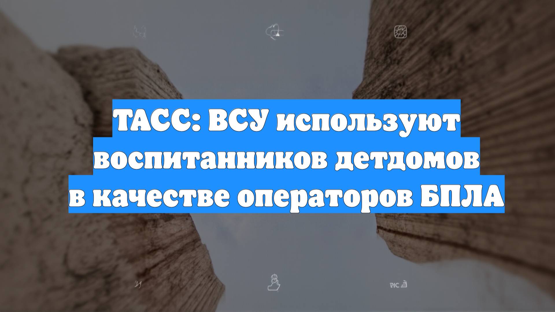 ТАСС: ВСУ используют воспитанников детдомов в качестве операторов БПЛА