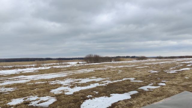 VID_20240309_131131