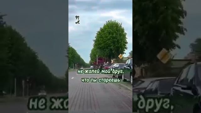 445695.mp4