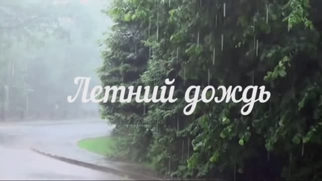 Летний дождь