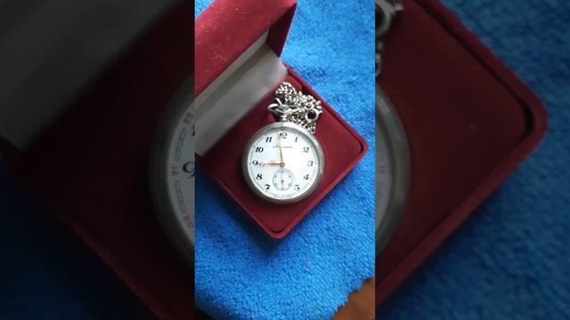 1000017823.mp4