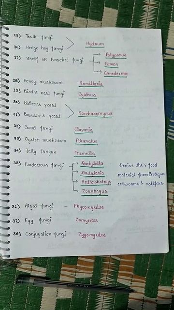 Fungi and Plant diseases