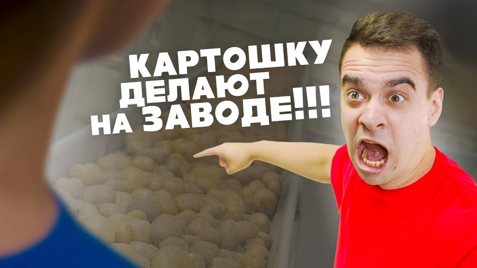 5 правил общения с глупыми и наглыми людьми.
