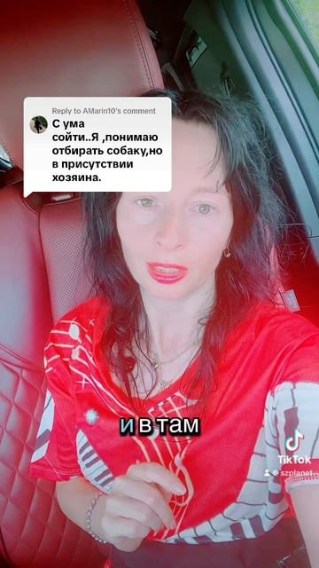 Собаки в Австралии имеют больше прав, чем люди! #собачьяжизнь #собачникипоймут #собачники #собаки