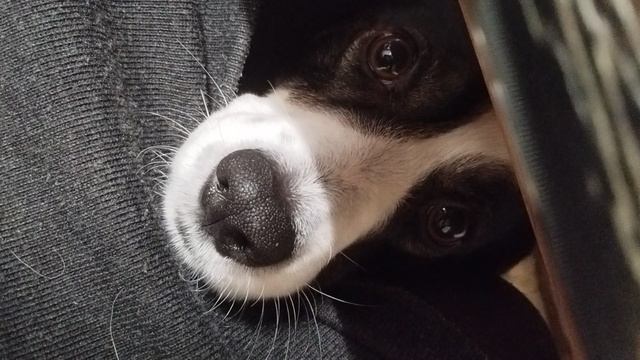 😊