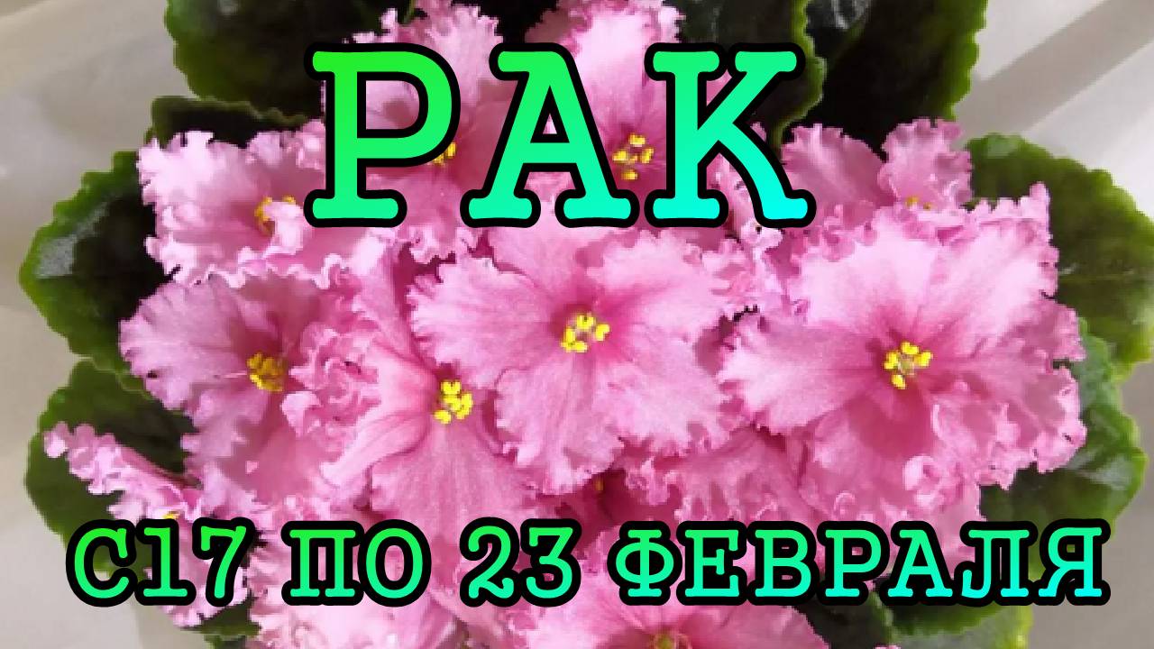 РАК таро прогноз на неделю с 17 по 23 ФЕВРАЛЯ 2025 года.