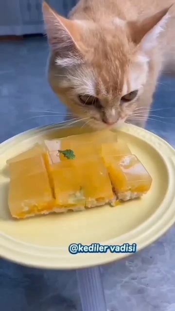 1000073446.mp4