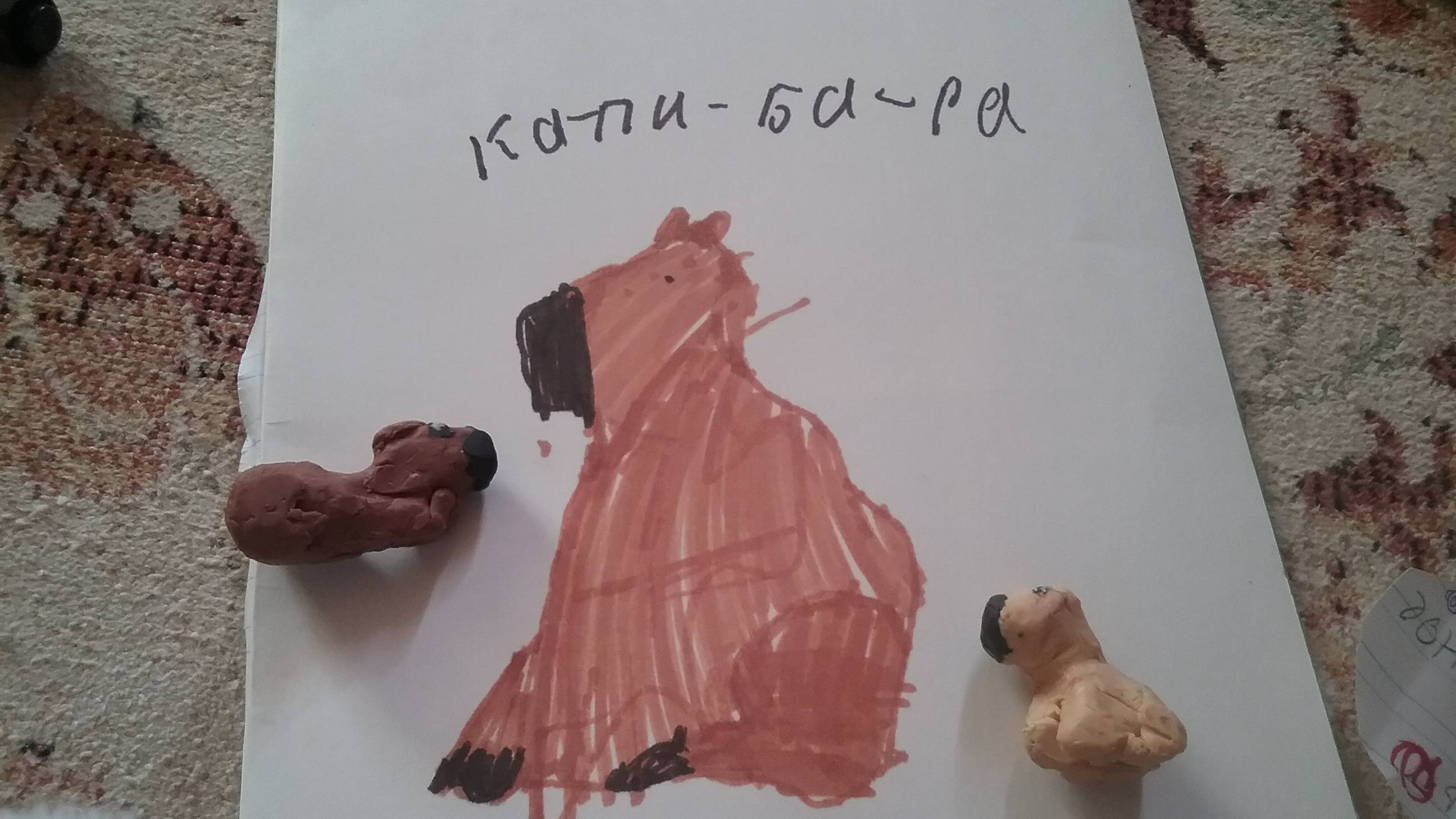 Как нарисовать капибару?