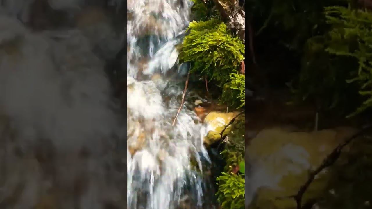 просто жизнь мир #nature #природа #осознание #мир #жизнь
