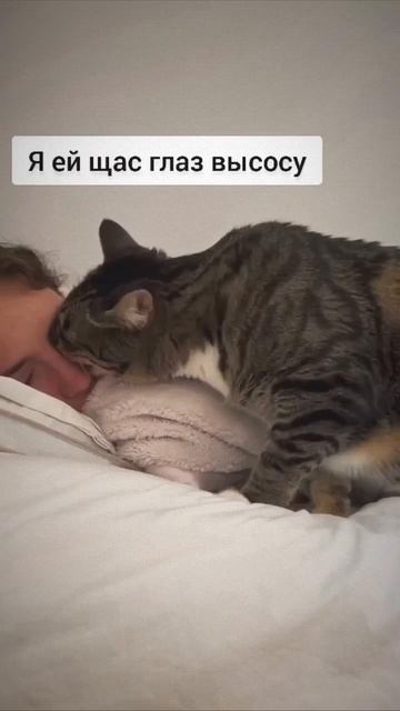 - Наташа, в миске уже дно видно…
