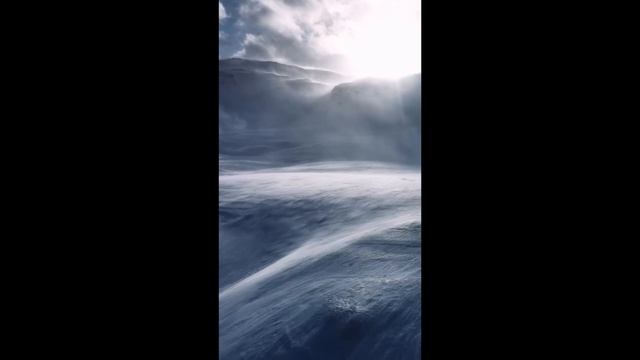 Total Eclipse Of The Heart видеозалипалка _14