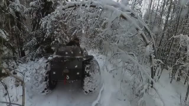 Берендеево царство