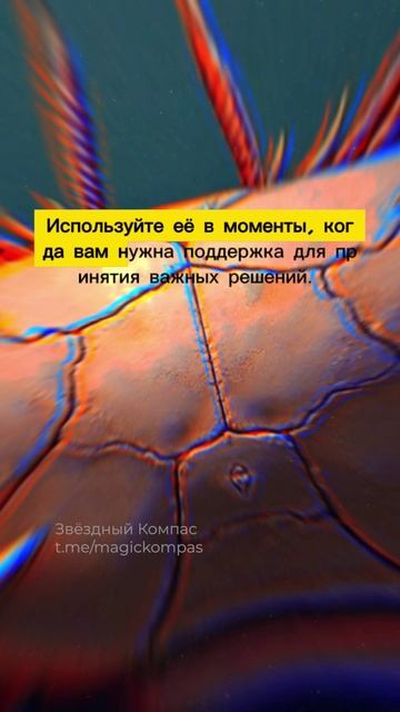 Раки, руна Соул поможет вам обрести уверенность и стать победителем в любой ситуации в 2025 году!