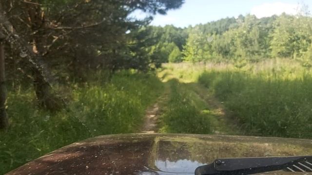 Святой источник 1 часть