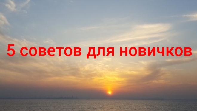 5 советов для новичков в Чикен Ган!