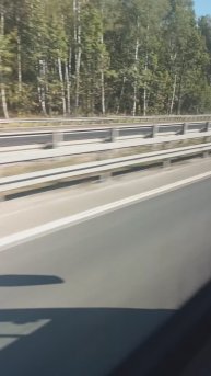 Еду и смотрю на лесополосу