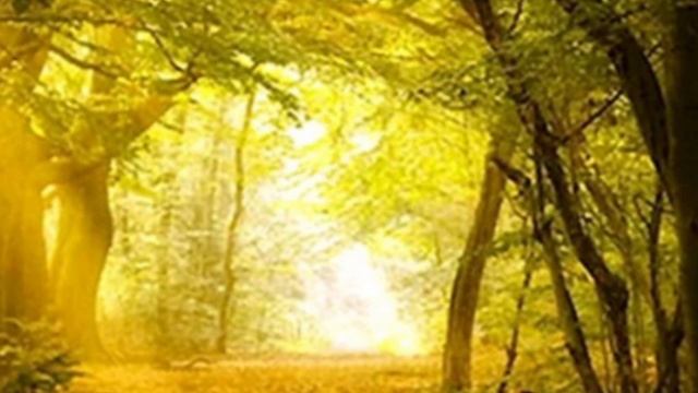 Обзор на Самвела Адамян .