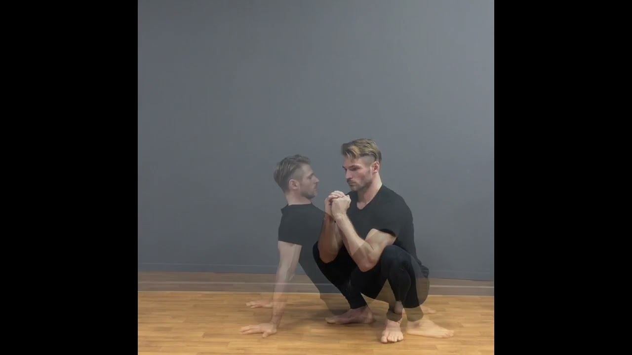 Курс Animal Flow