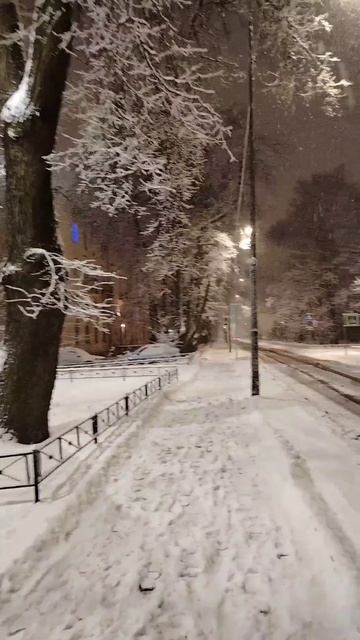 Наш Родной и любимый г.Санкт-Петербург