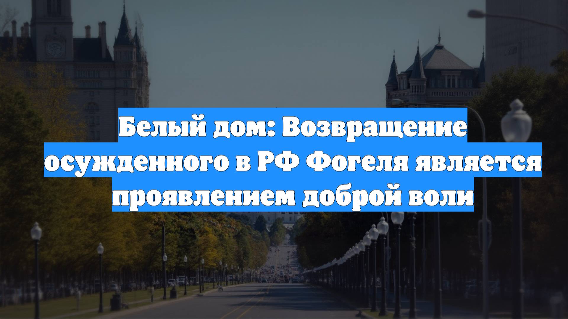 Белый дом: Возвращение осужденного в РФ Фогеля является проявлением доброй воли