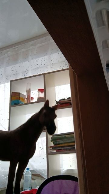 Новости кск фейерверка!