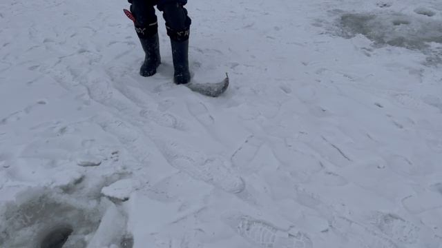 1000051207.mp4