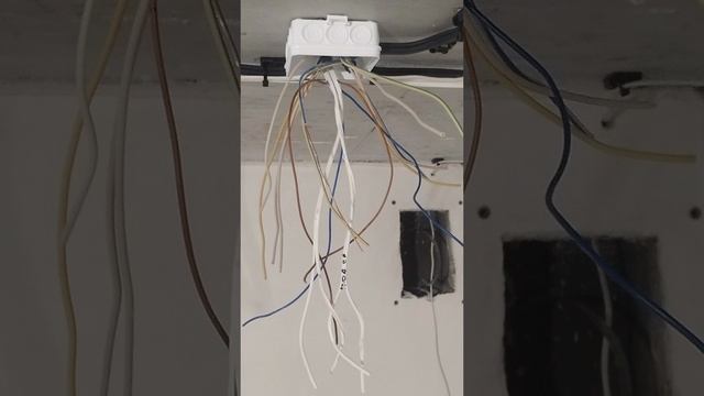Черновые работы по электро монтажу.mp4