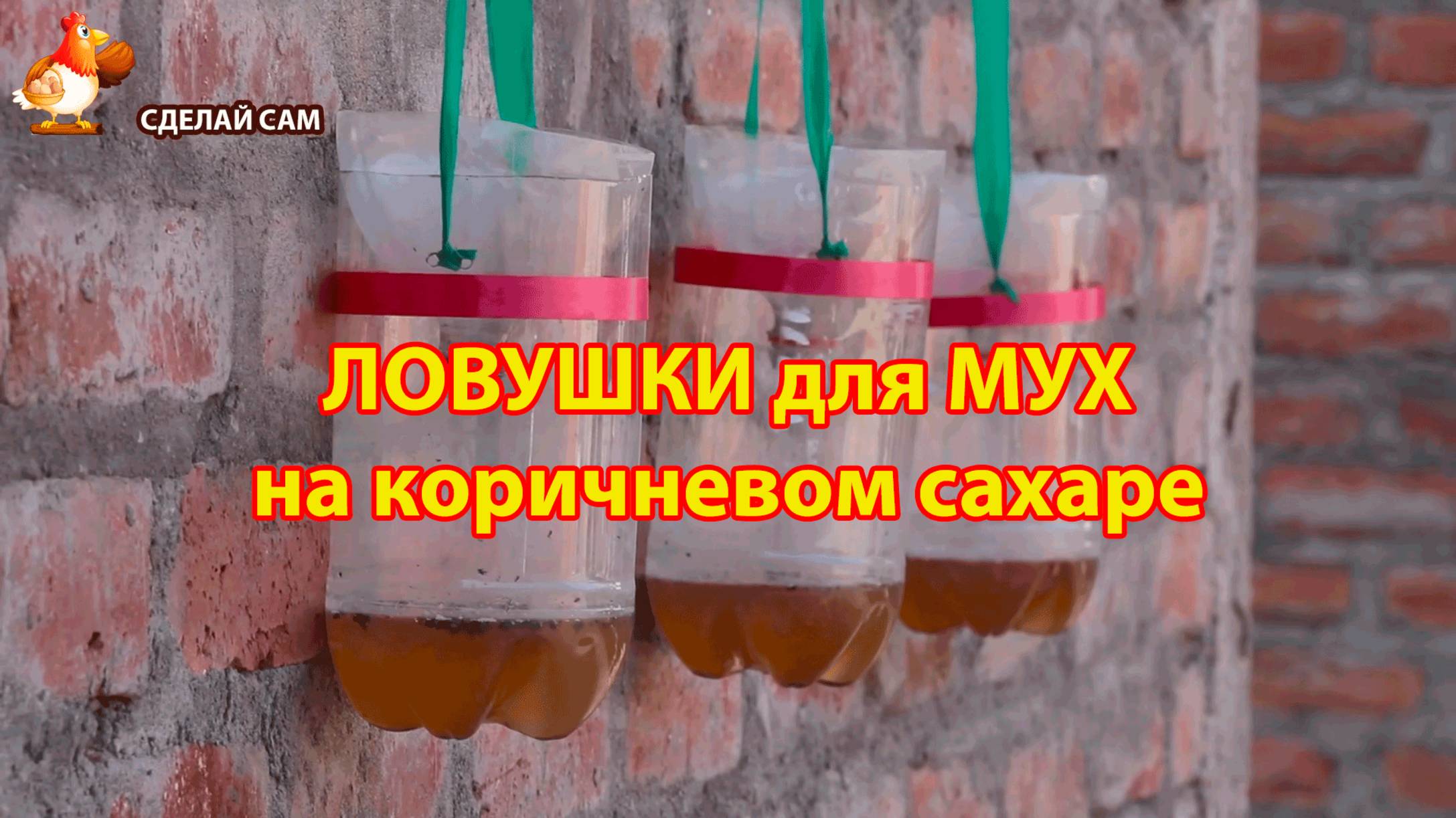 Ловушка для мух и мошек с коричневым сахаром 🪰🕷️🪳